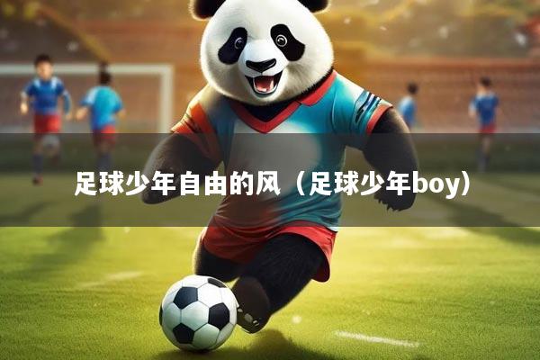足球少年自由的风（足球少年boy）