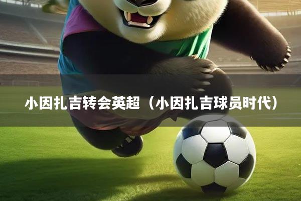 小因扎吉转会英超（小因扎吉球员时代）