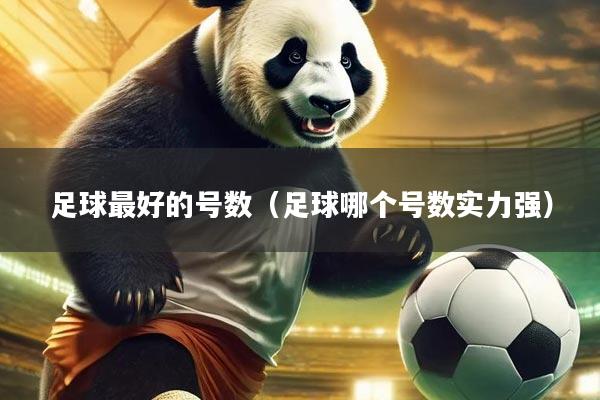 足球最好的号数（足球哪个号数实力强）