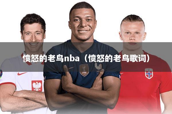 愤怒的老鸟nba（愤怒的老鸟歌词）