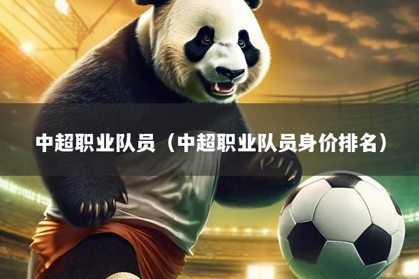 中超职业队员（中超职业队员身价排名）