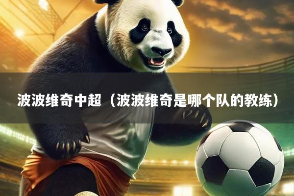 波波维奇中超（波波维奇是哪个队的教练）