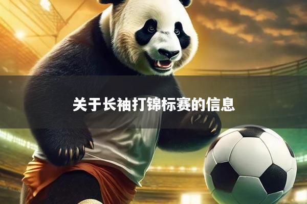 关于长袖打锦标赛的信息