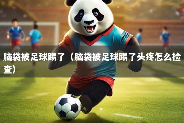 详细阅读:脑袋被足球踢了(脑袋被足球踢了头疼怎么检查) 脑袋被足球踢了(脑袋被足球踢了头疼怎么检查)